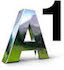 A1